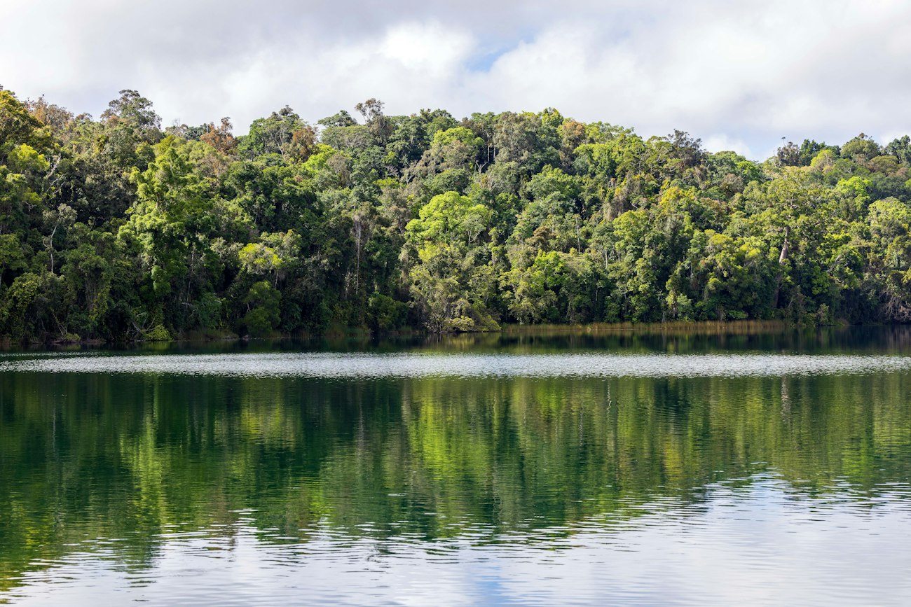Rainforest reflected in Lake Barrine on the Atherton Tablelands