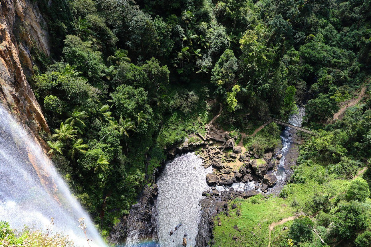 A waterfall dropping into the forest at Springbrook