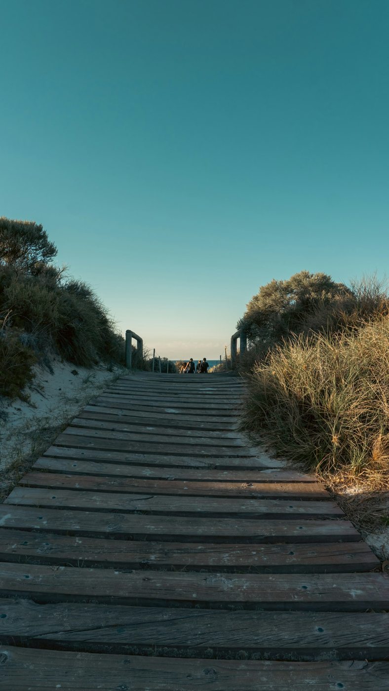 A wooden path between coastal shrubs on Rottnest Island