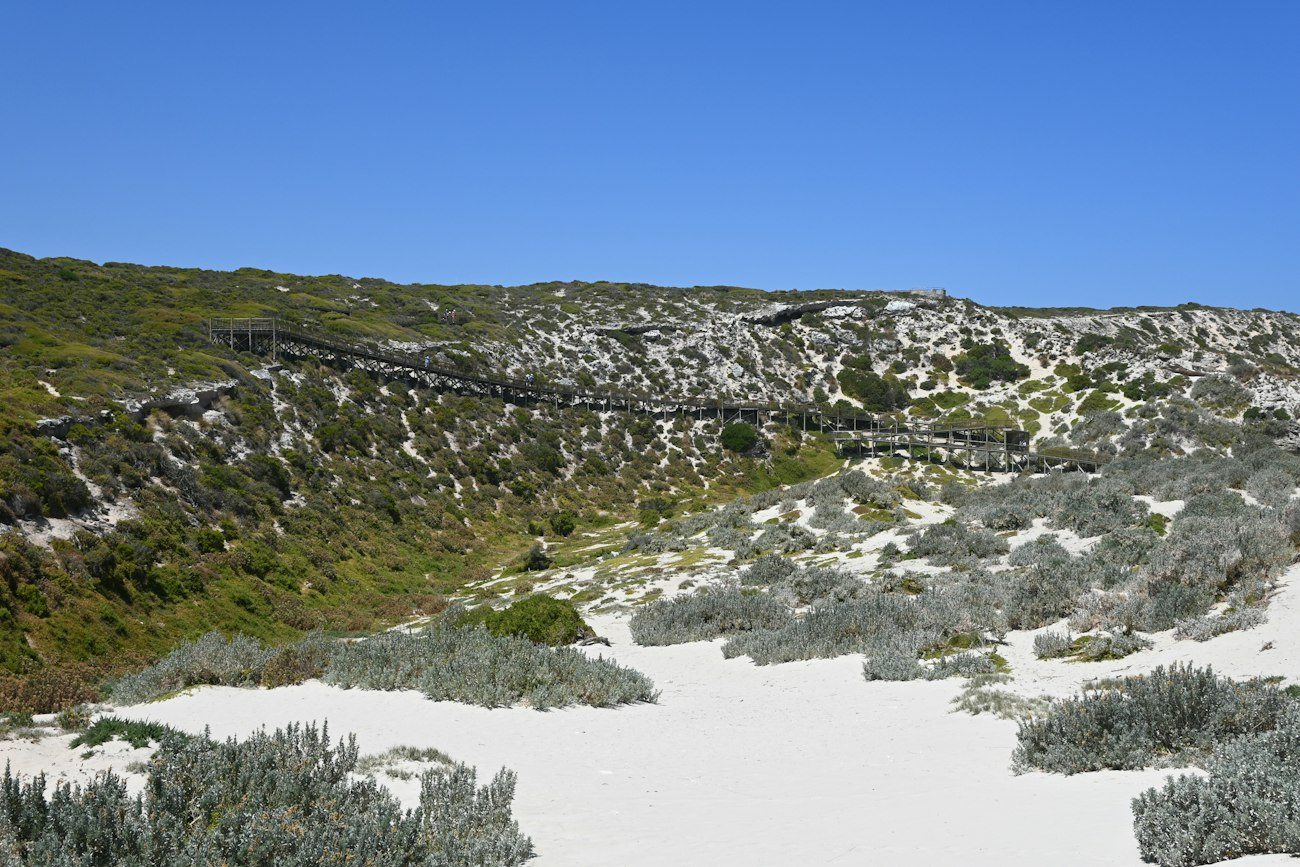 A boardwalk crossing pale coastal dunes on Kangaroo Island