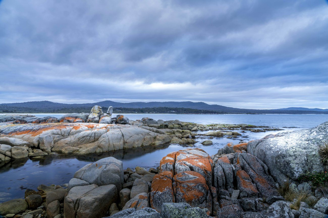 Orange lichen on coastal rocks at the Bay of Fires