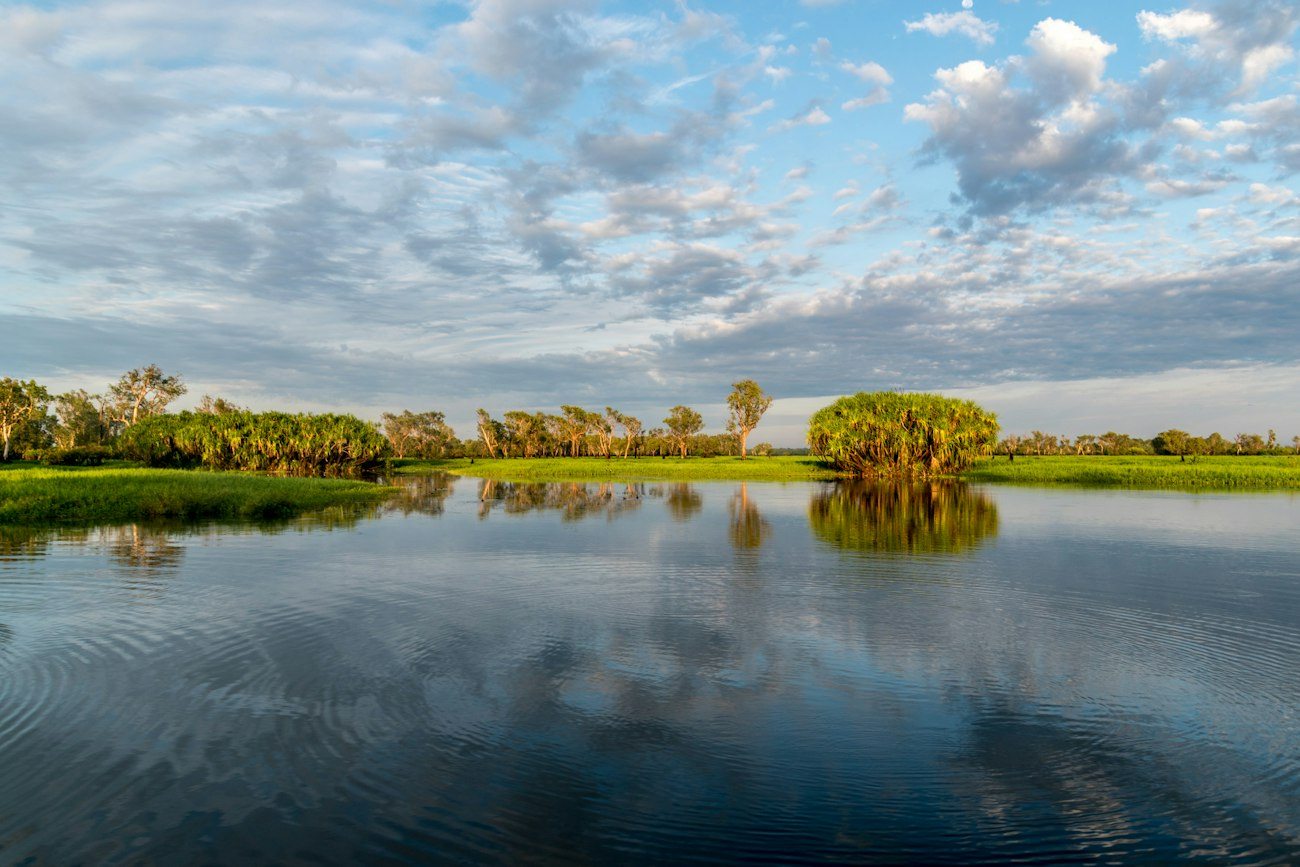 Water and vegetation in Kakadu's wetlands
